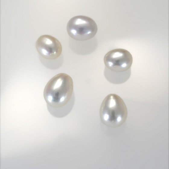 Ref. 861 Perles d'eau douce gouttes oval