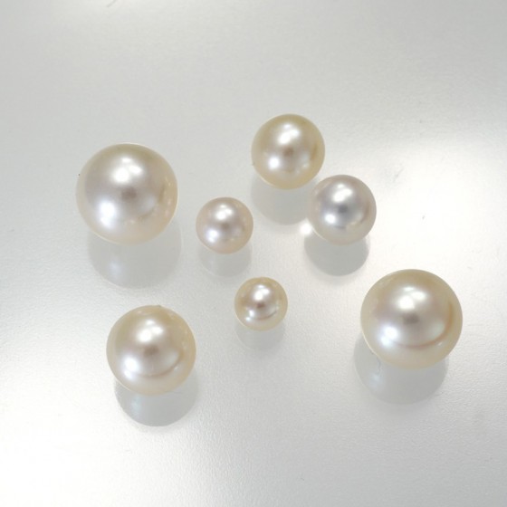 Ref. 865 Perles d'eau douce, blanches, demi-percées