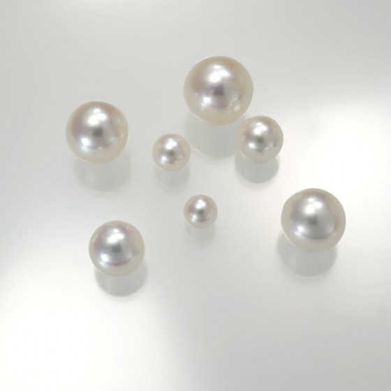 Ref. 852 Akoya-Perlen, 4/4 rund, angebohrt, per Stück
