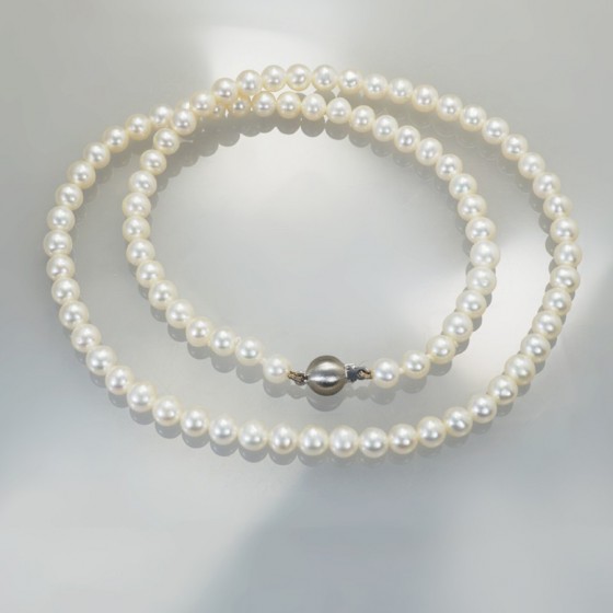 Ref. 789/10 Süsswasser...