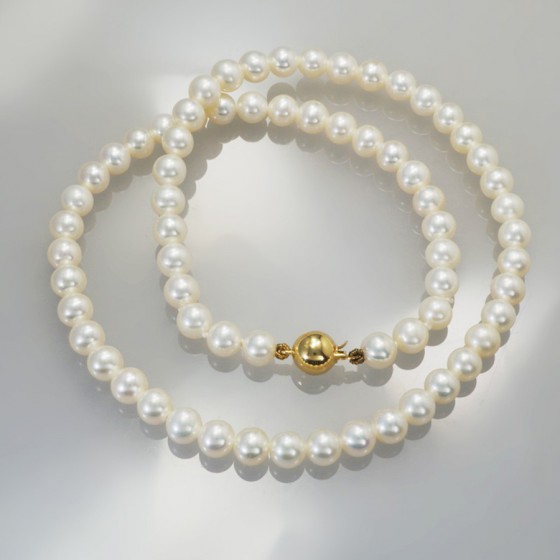 Ref. 789/13 Süsswasser...