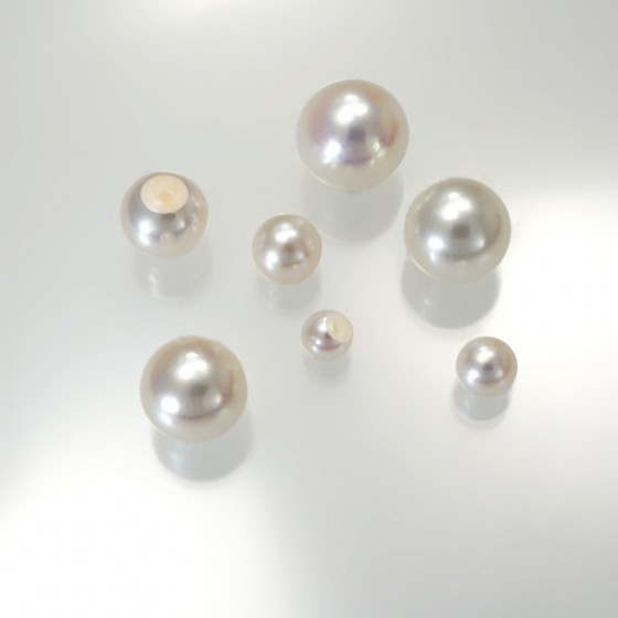Ref. 850 Akoya-Perlen, 3/4 rund, angebohrt, per Stück